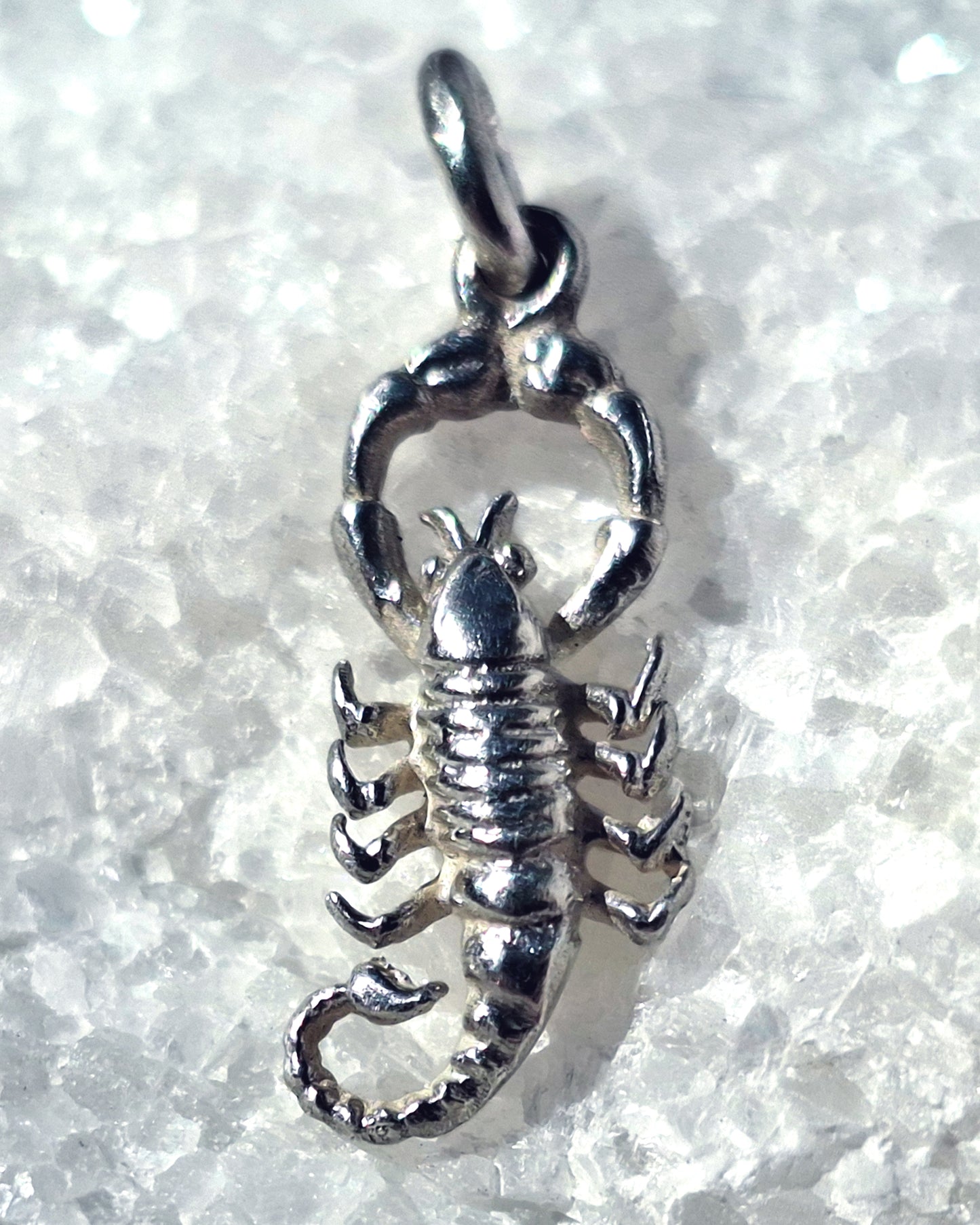 Fine Chain Necklace - Scorpion Pendant