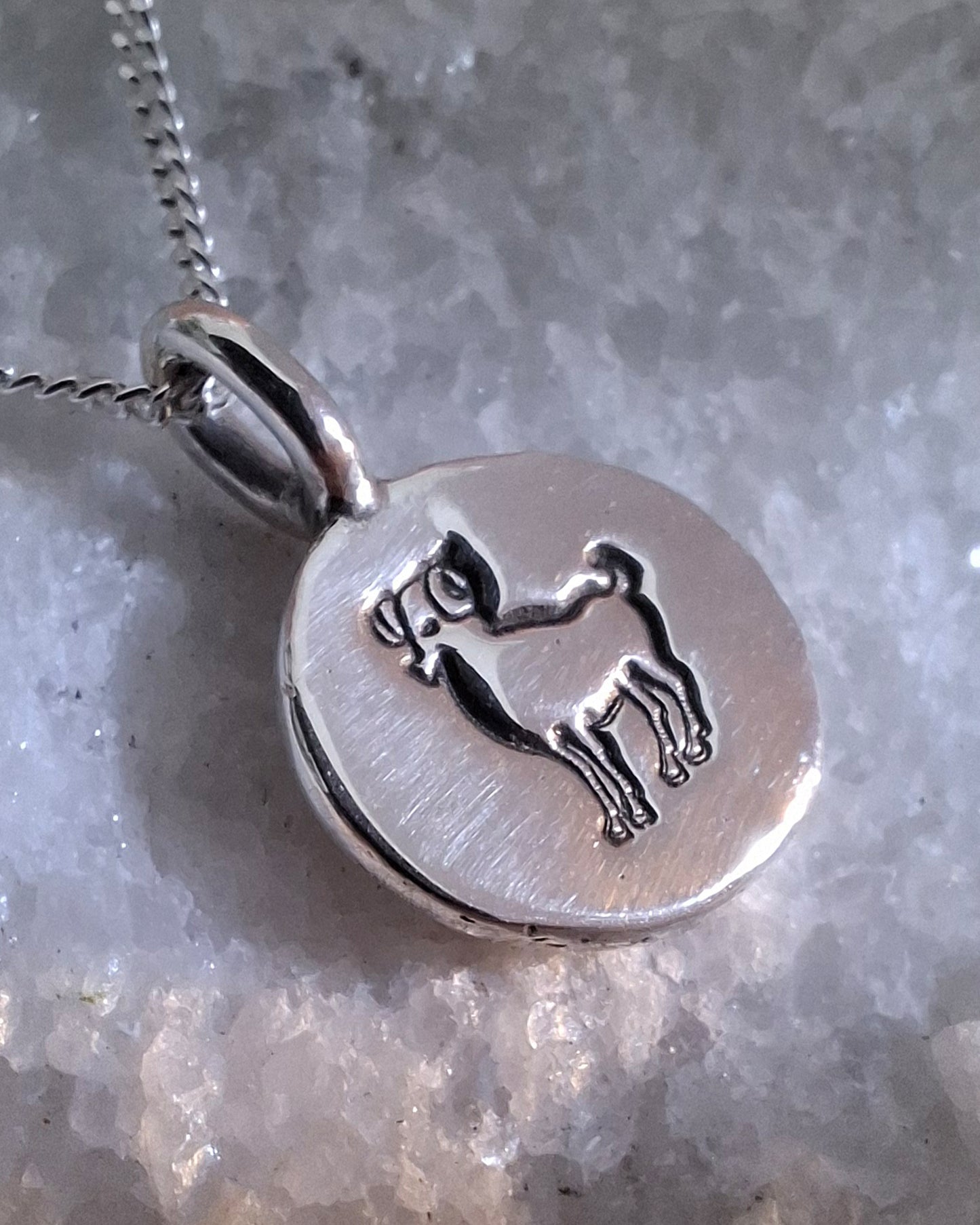 Zodiac Necklace - Aries