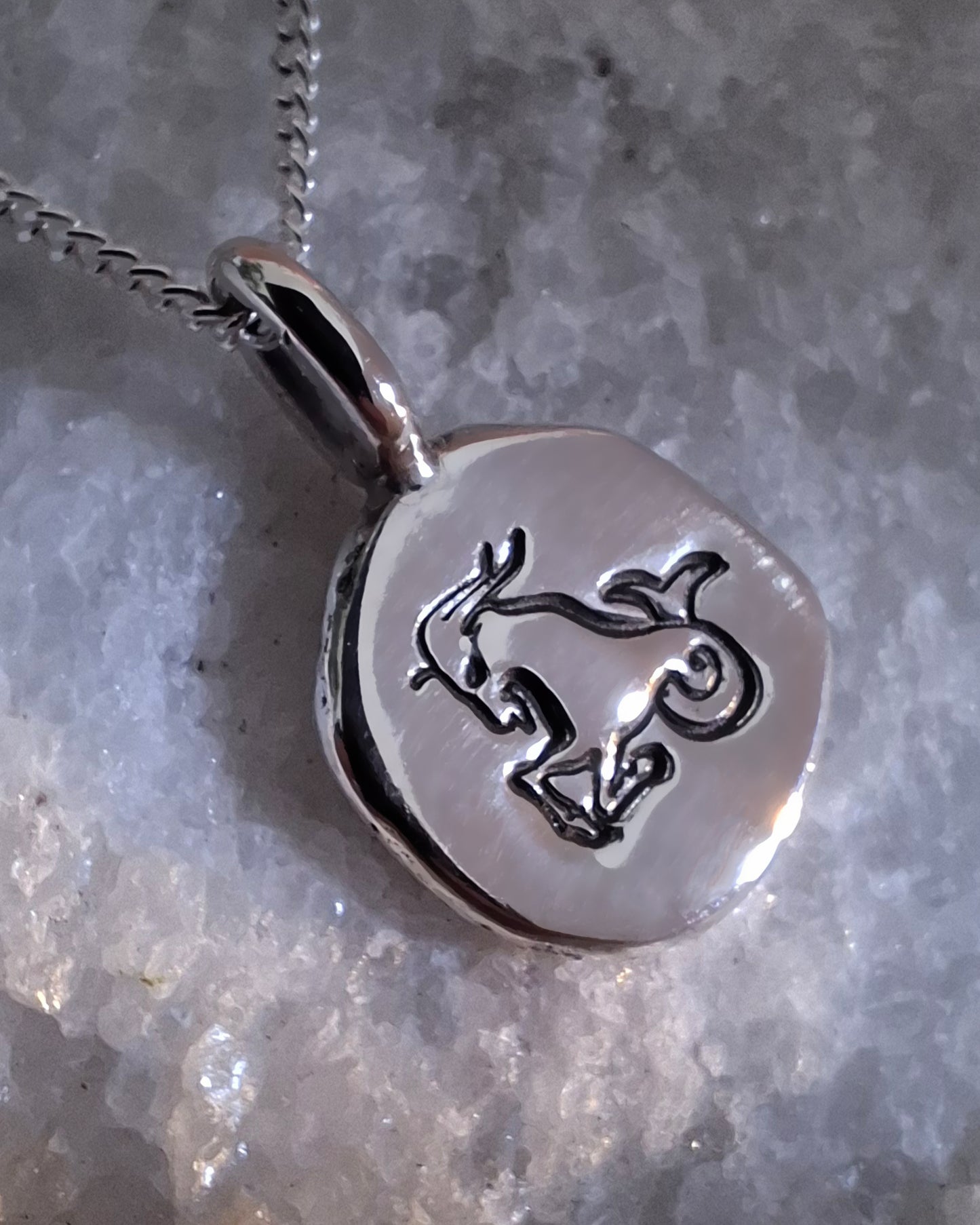 Zodiac Necklace - Capricorn