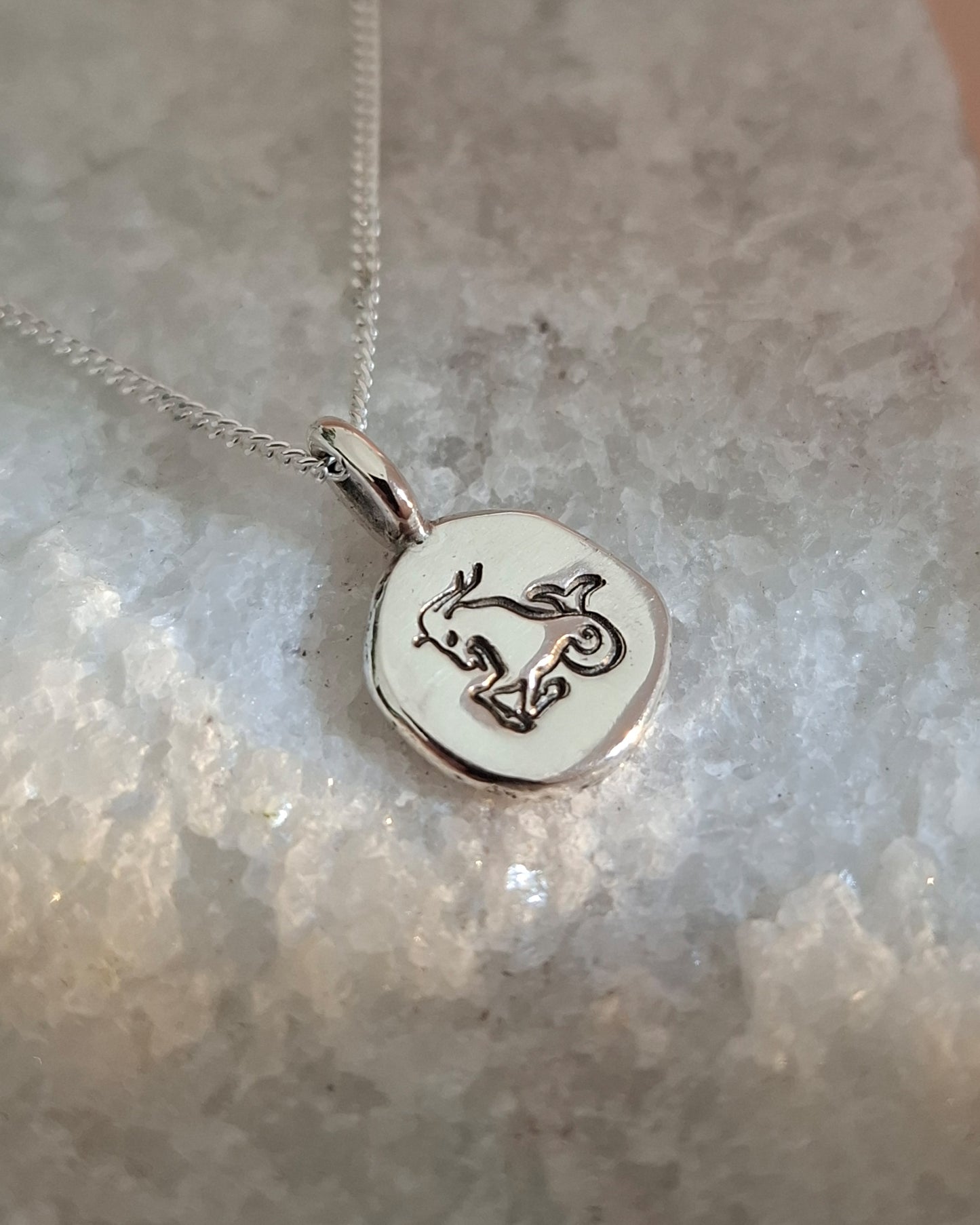 Zodiac Necklace - Capricorn