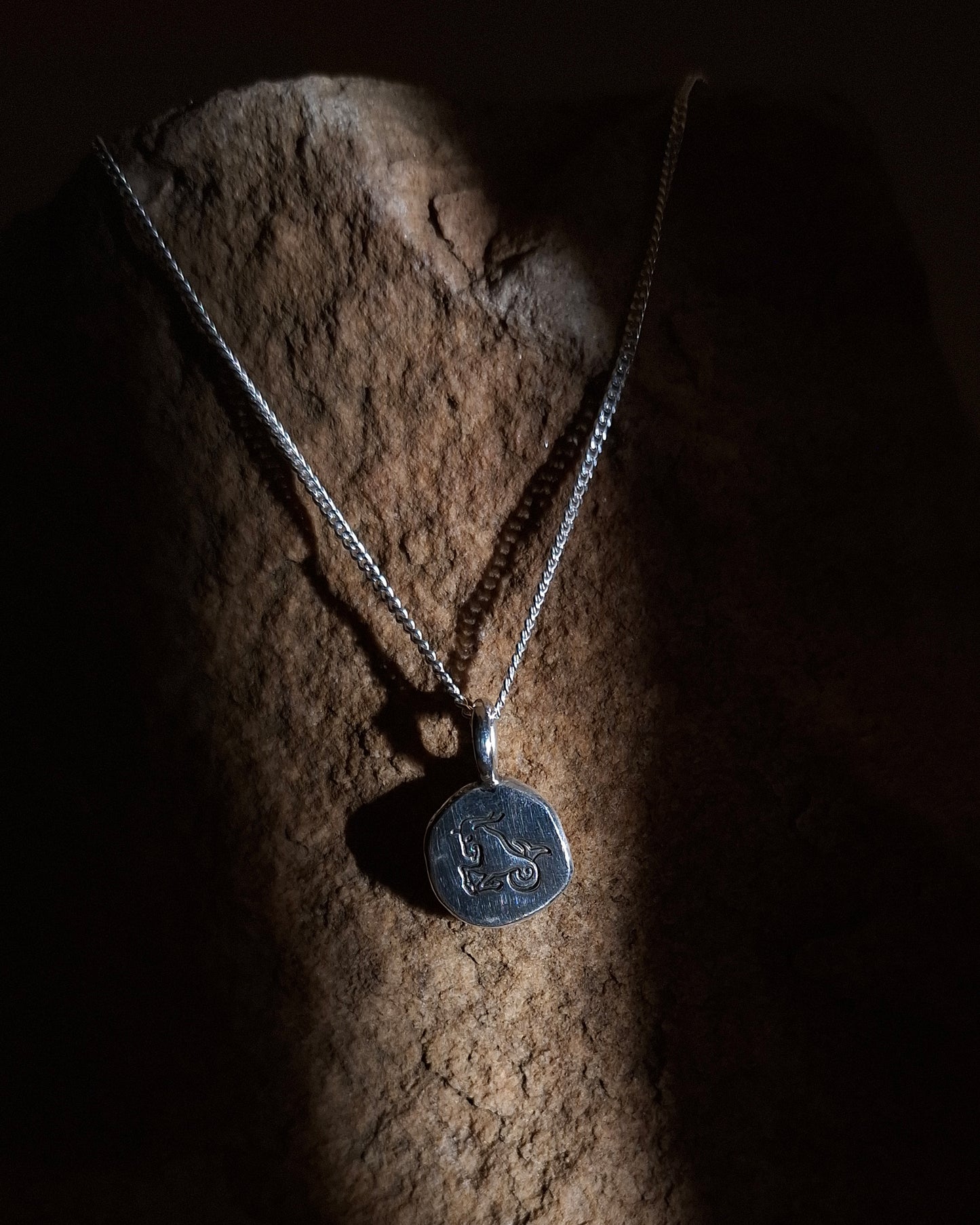 Zodiac Necklace - Capricorn