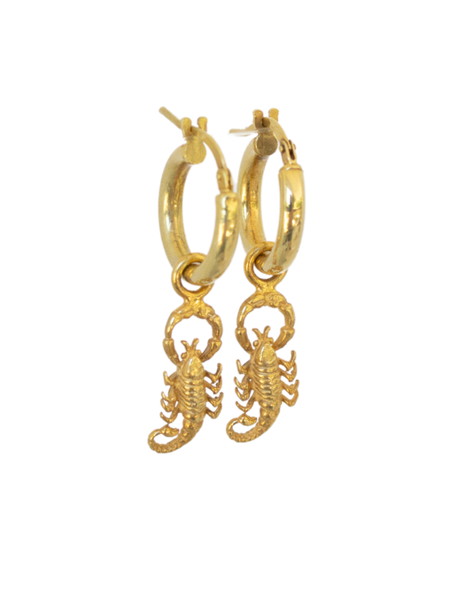 Classic Hoop Earrings - Scorpions