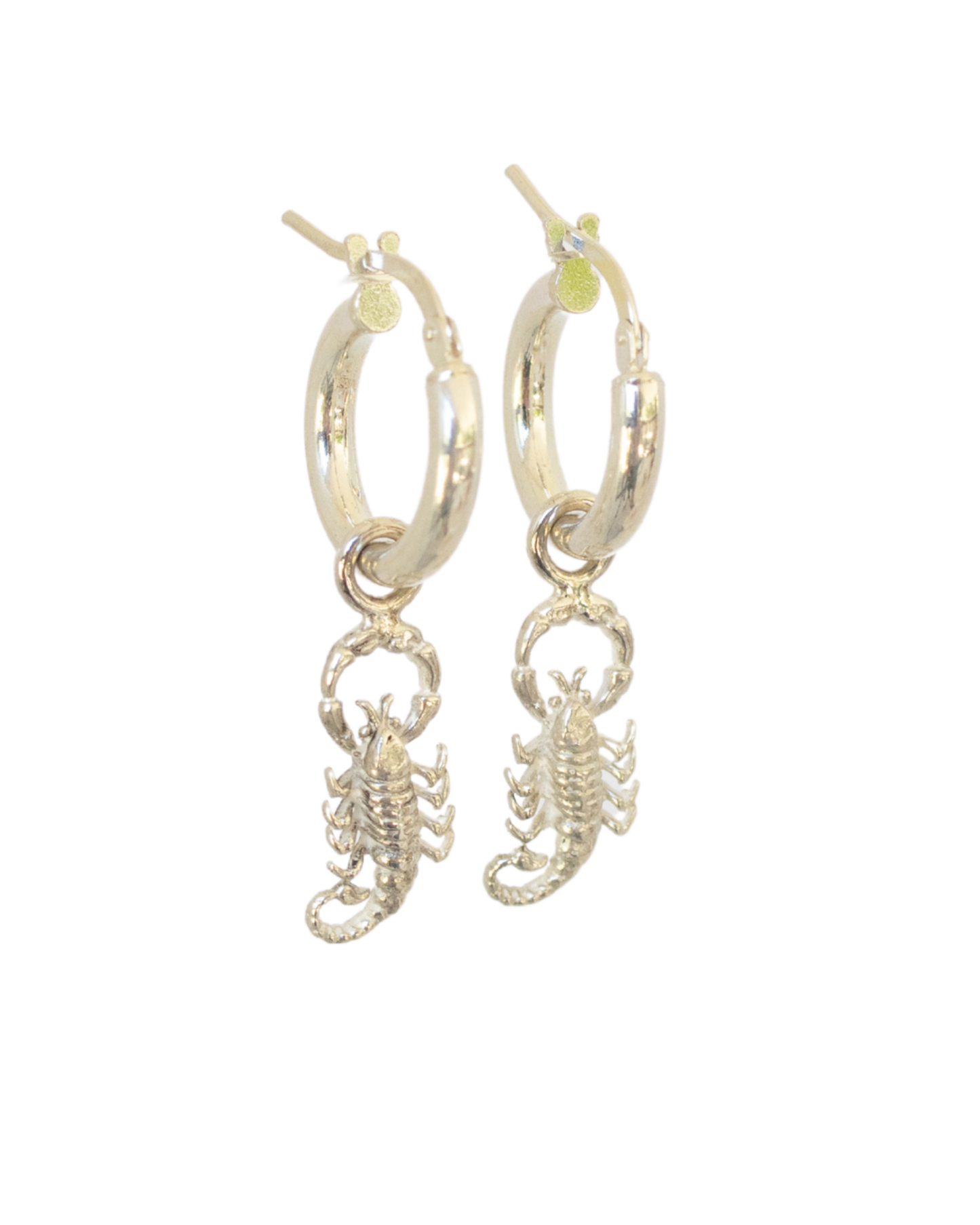 Classic Hoop Earrings - Scorpions